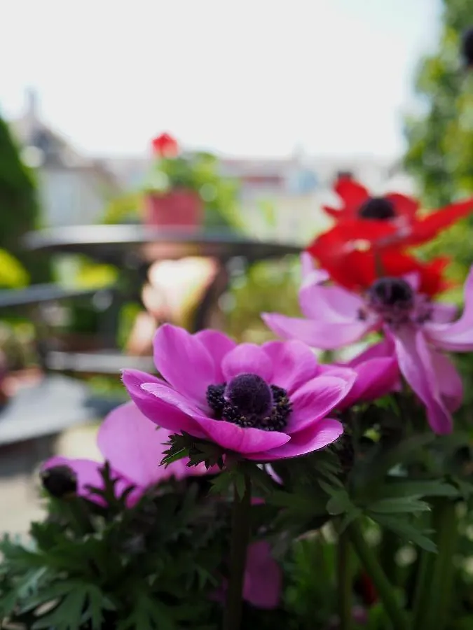 Das Altschwabing - Munich Boutique Hotel Alemania